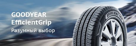 Nokian EfficientGrip